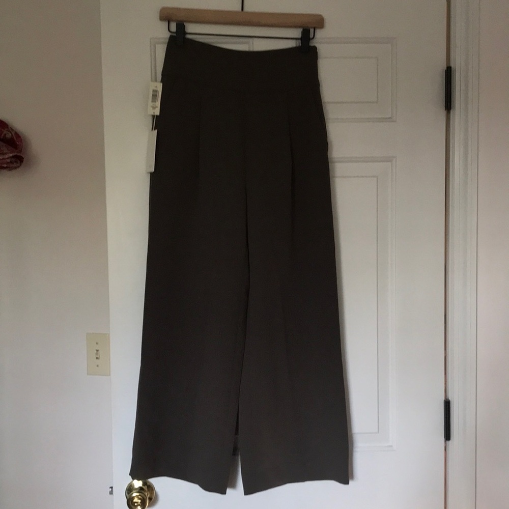 Aritzia Coulomb Pants